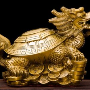 Rùa đầu rồng - Linh vật thu hút may mắn