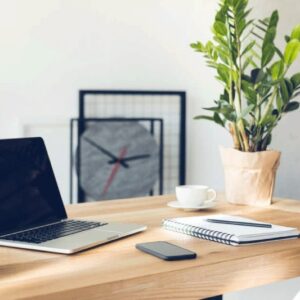 Cây cảnh mini trên bàn làm việc của người mệnh thổ sẽ giúp chủ nhân cảm thấy thư giãn