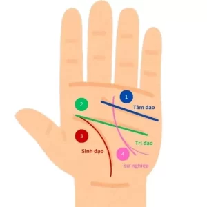 Nhận Diện Những Đường Chỉ Tay Xấu Có Thể Làm Cuộc Đời Trắc Trở